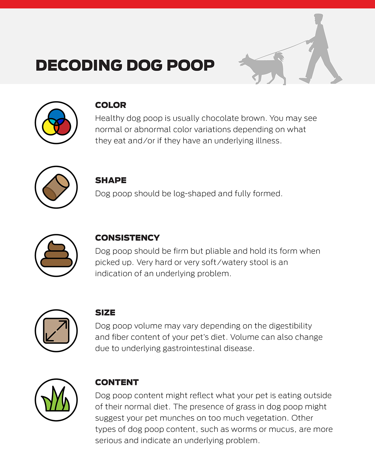 Guide to Types of Dog Poop Decoding Color Consistency Purina US