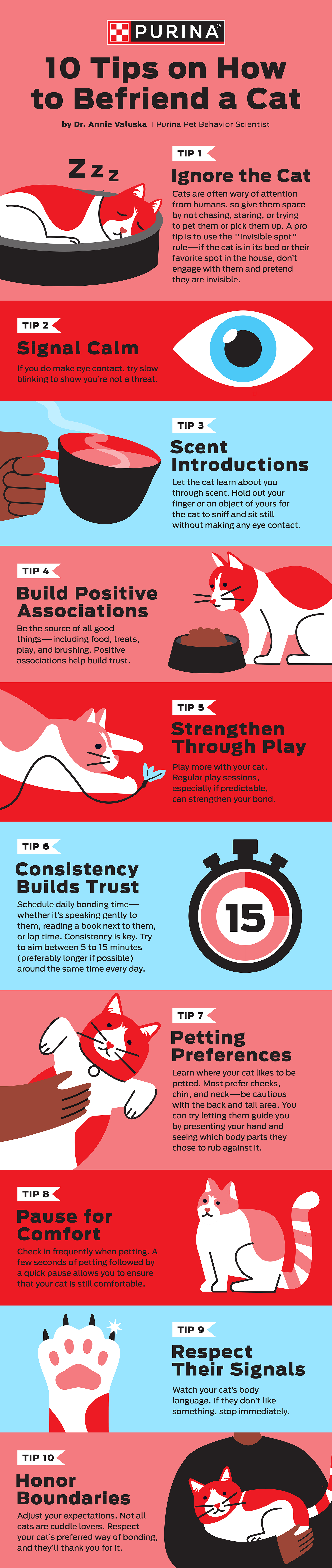How to befriend a cat infographic