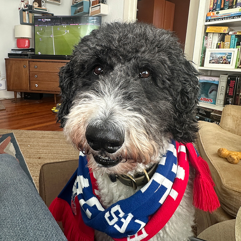Ozzie