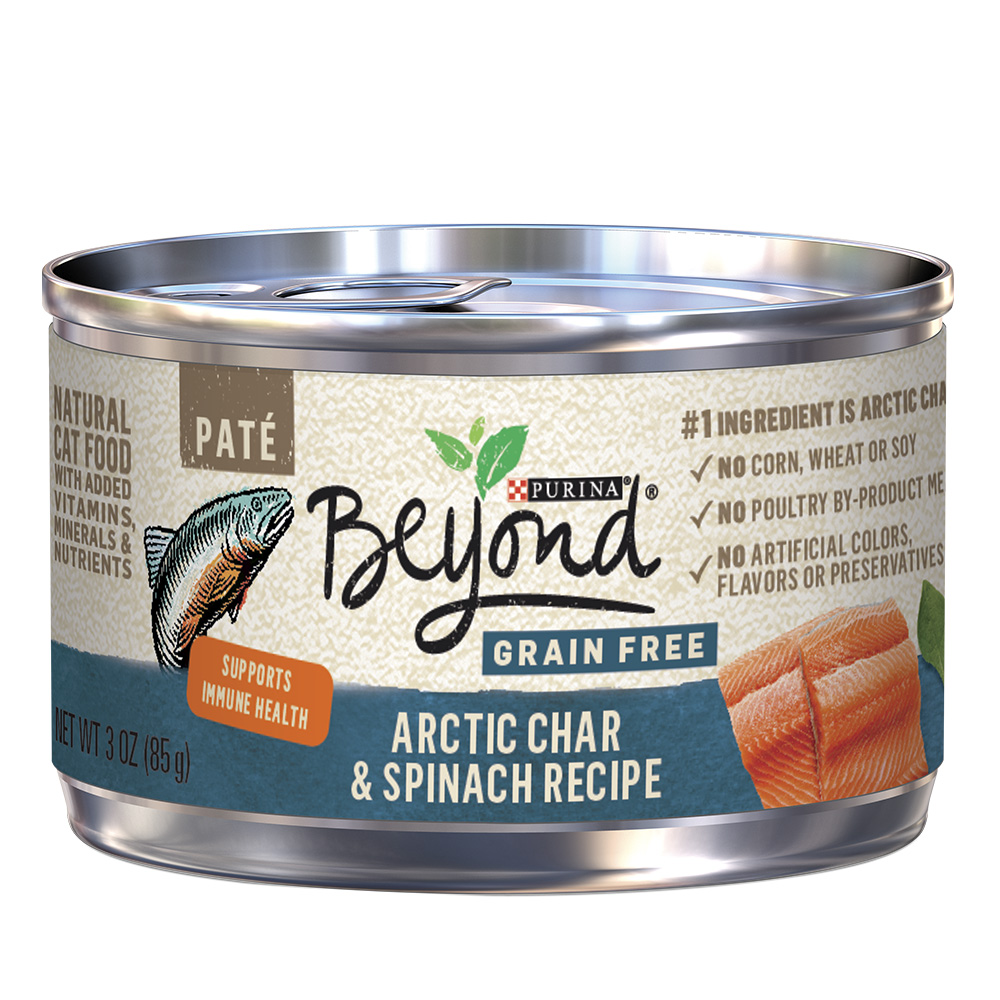Beyond Grain Free Arctic Char & Spinach Recipe Pate Wet Cat Food