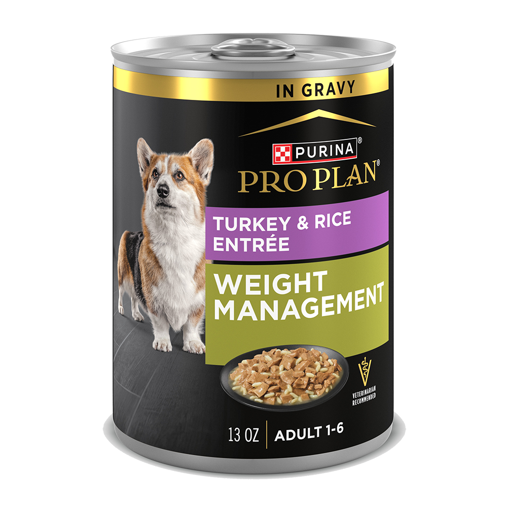 Pro Plan Weight Management Turkey & Rice Entrée in Gravy Wet Dog Food