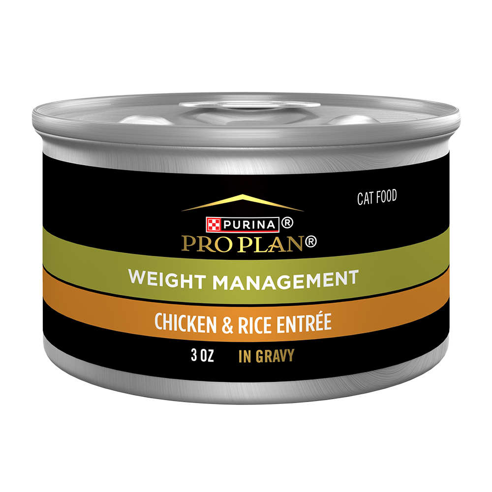 Adult Weight Management Chicken & Rice Entrée in Gravy Wet Cat Food